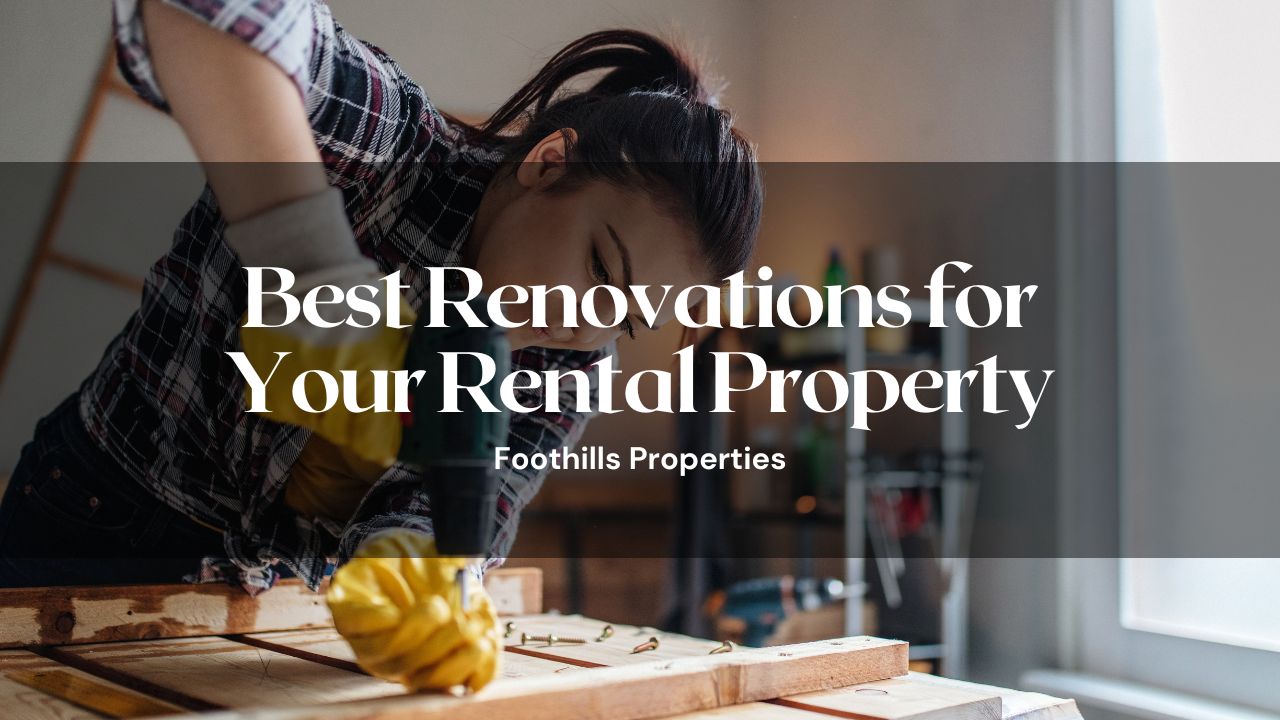 A Landlords Guide to the Best Rental Renovations